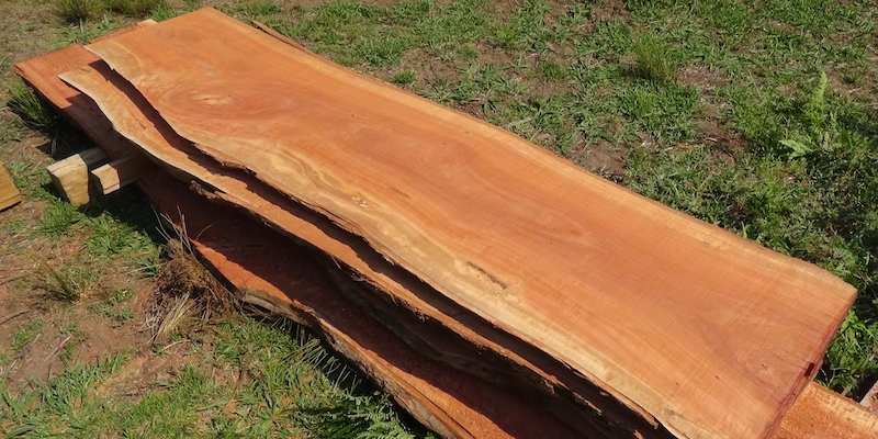 timber_samples03