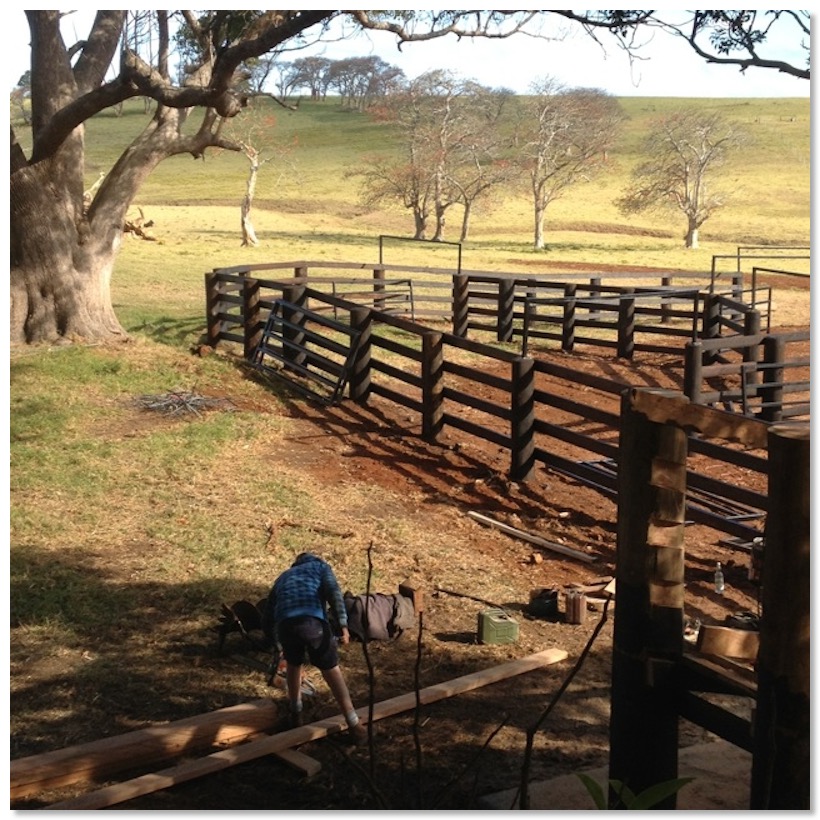 Hardwood cattle yard